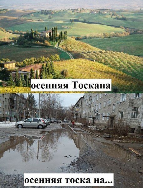 Порция картинок