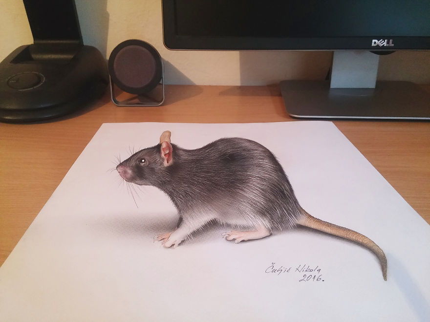 Невероятно реалистичные 3D рисунки