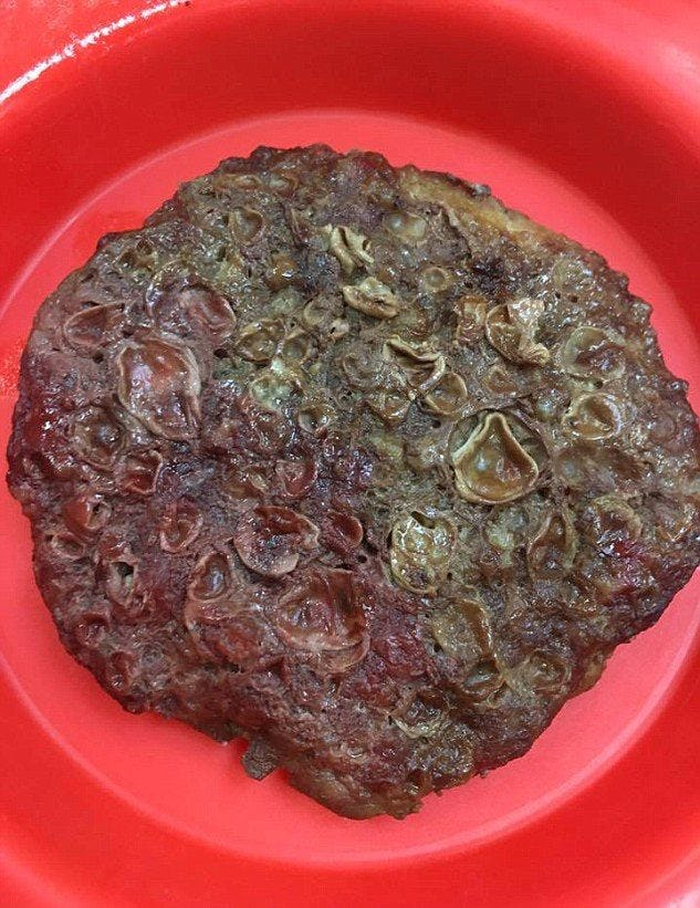 Школьные ужасы. Почему некоторые учебные заведения превращаются для школьников в кунсткамеры? Школьные ужасы. Почему некоторые учебные заведения превращаются для школьников в кунсткамеры?