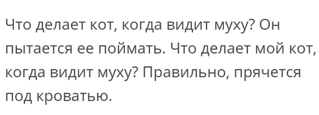 Истории и мысли из социальных сетей