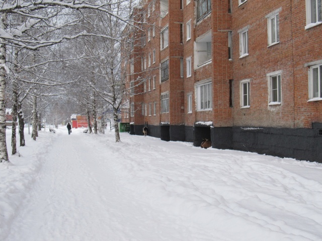 Когда внезапно наступила зима