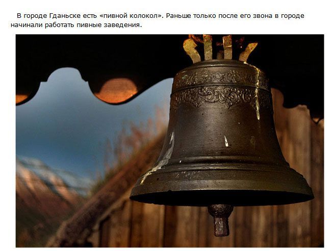 Самые интересные факты о пиве