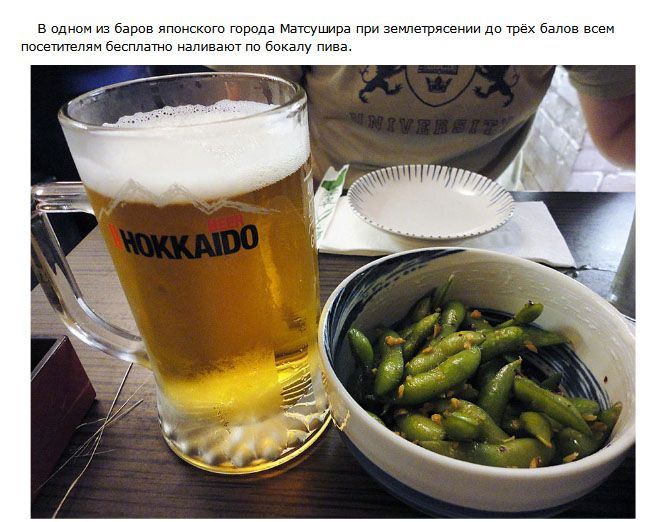Самые интересные факты о пиве