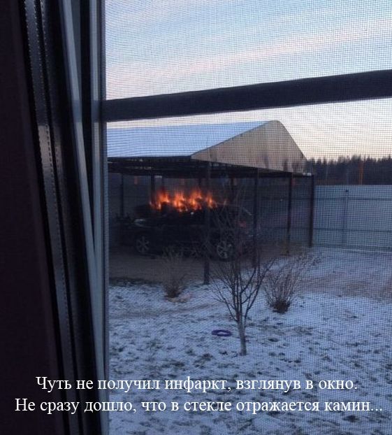 Прикольные картинки (80 фото)
