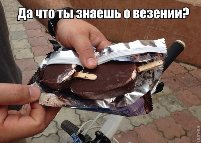 Прикольные картинки (80 фото)