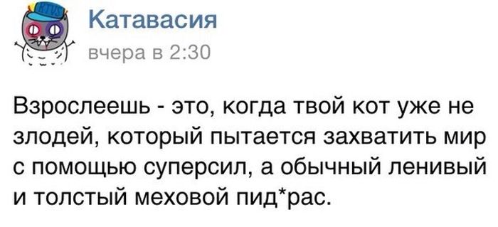 Прикольные картинки (80 фото)