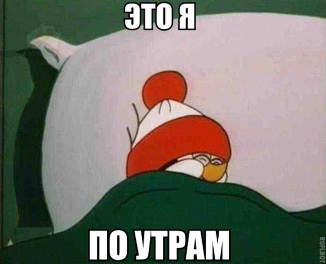 Прикольные картинки (80 фото)