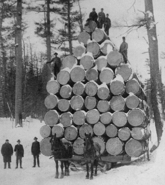 Прикольные картинки (80 фото)