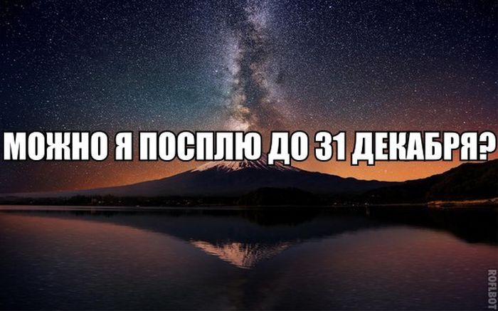 Прикольные картинки (80 фото)