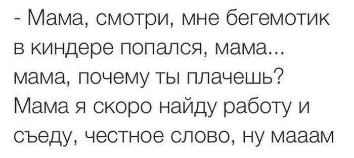 Прикольные картинки (80 фото)