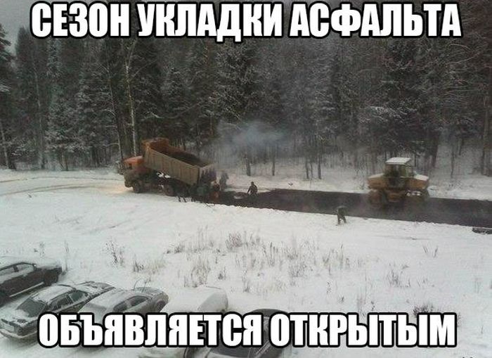 Прикольные картинки (80 фото)