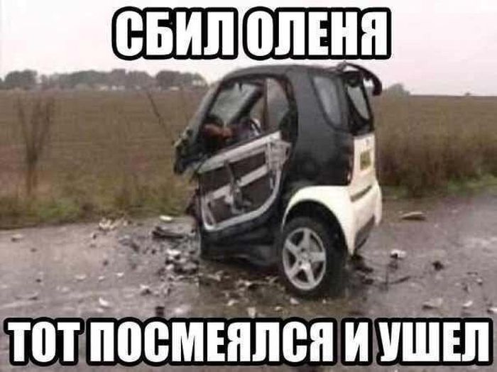 Прикольные картинки (80 фото)