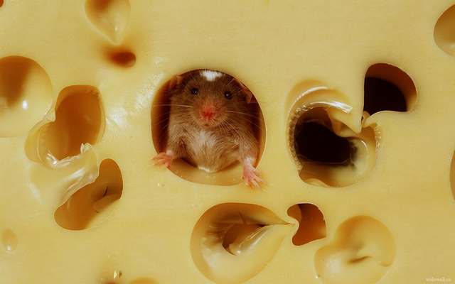 Жизненные факты, которые заставят вас задуматься Жизненные факты, которые заставят вас задуматься