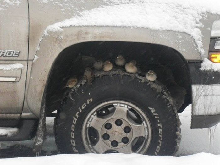 Подборка эмоциональных снимков