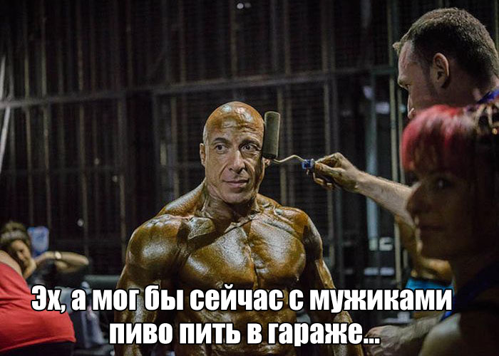 Прикольные картинки