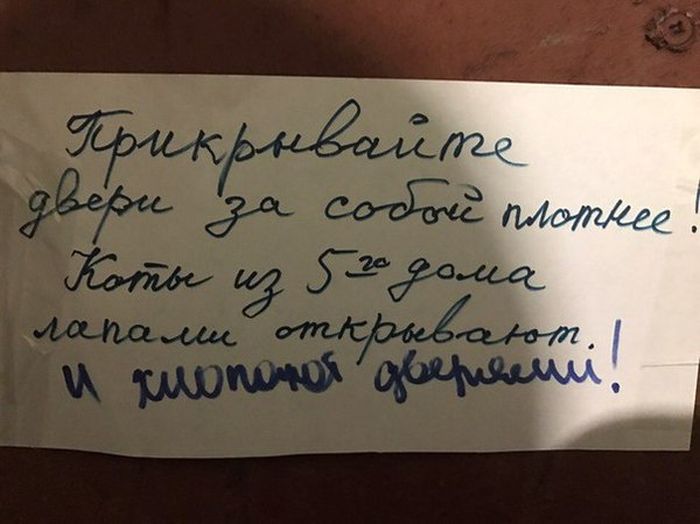 Прикольные картинки