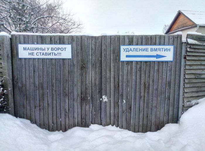 Прикольные картинки