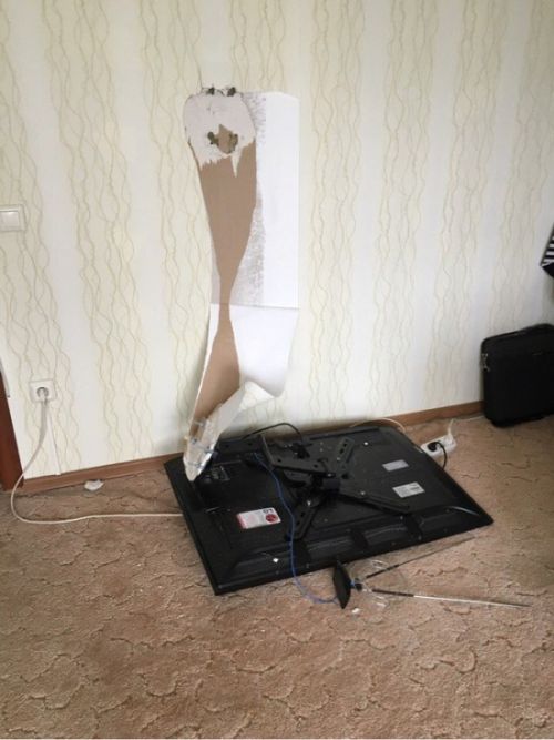 Прикольные картинки