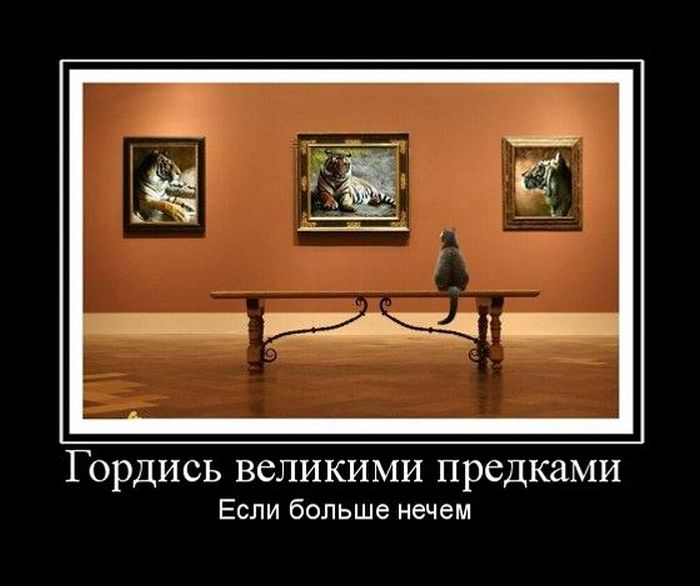 Демотиваторы