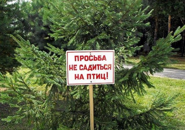 Народный креатив в забавных объявлениях