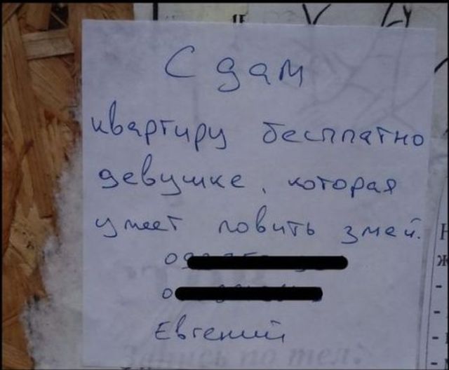 Народный креатив в забавных объявлениях