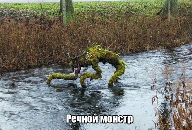 Прикольные картинки