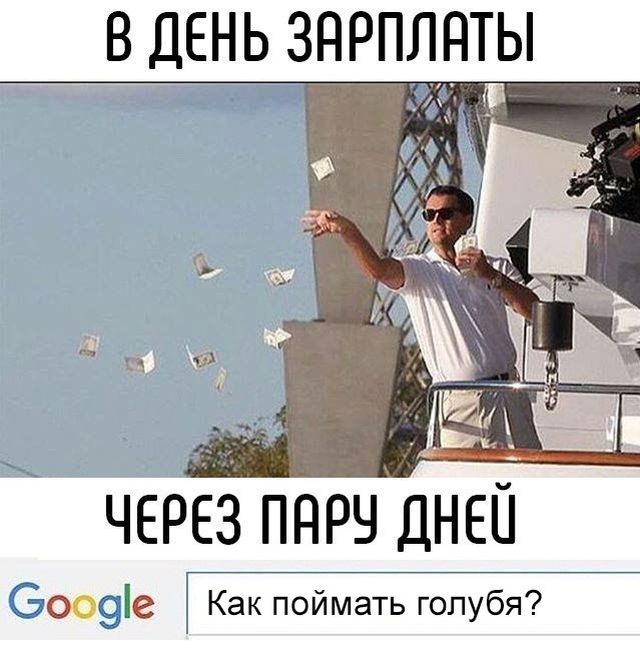Прикольные картинки
