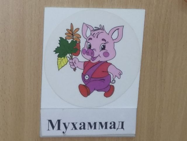 Румяный поросенок на шкафчике Мухаммеда позабавил пользователей сети