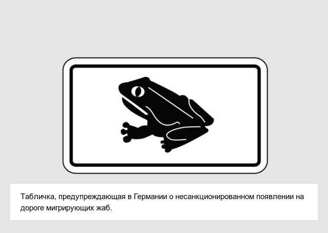 Самые необычные дорожные знаки в разных странах
