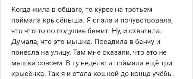 Высказывания и истории из социальных сетей
