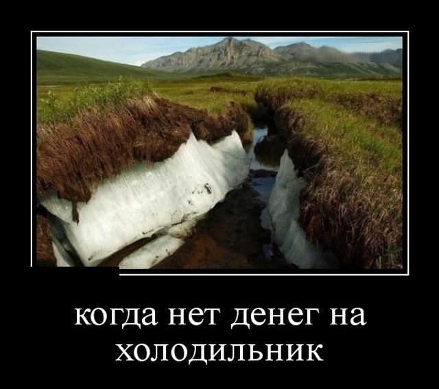 Демотиваторы