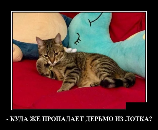 Демотиваторы