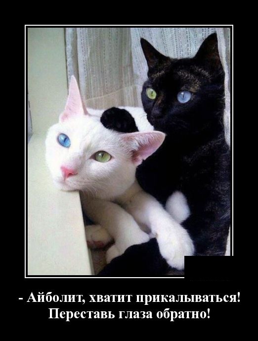Демотиваторы