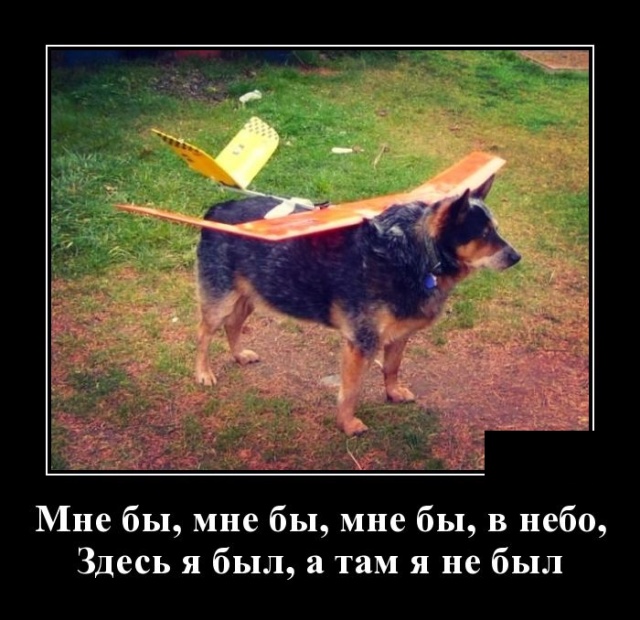 Демотиваторы