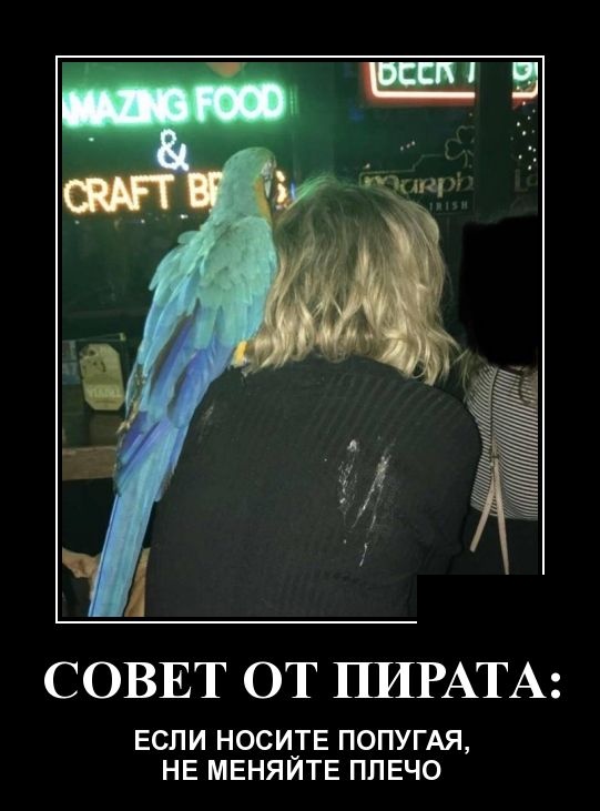 Демотиваторы