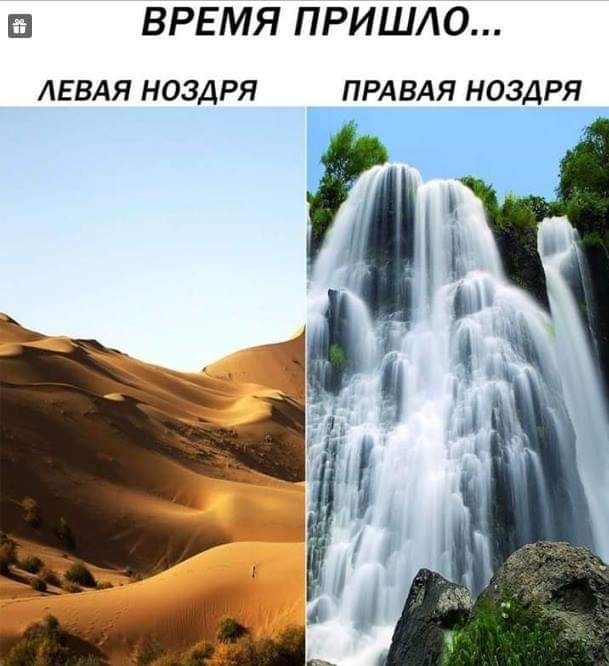 Забавные картинки без смысловой нагрузки