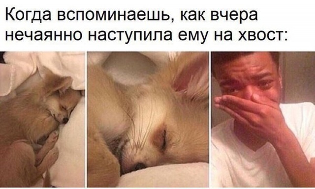 Забавные картинки без смысловой нагрузки