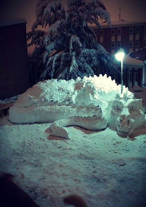 Порция картинок