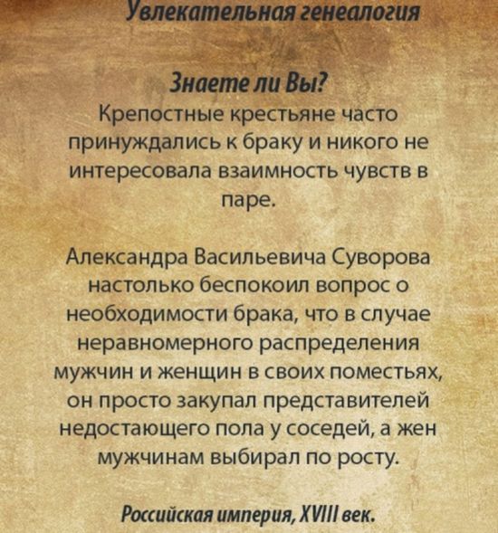 Порция картинок