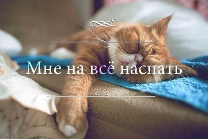 Порция картинок