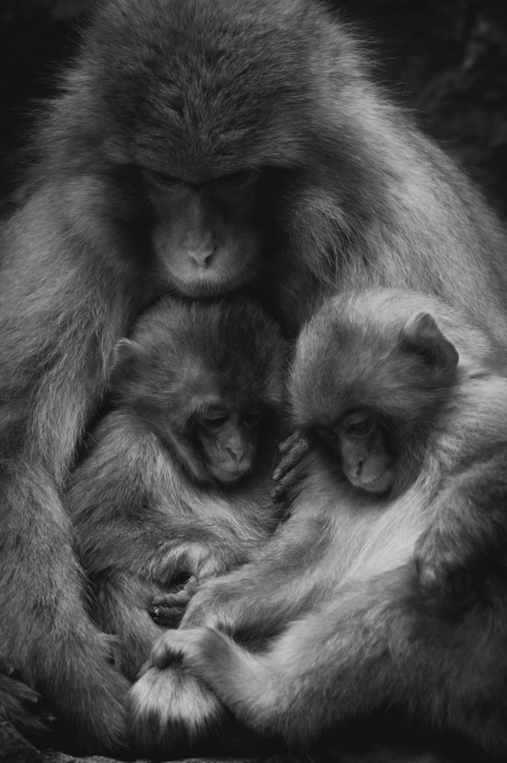 Фотоконкурс Sony World Photography Awards Фотоконкурс Sony World Photography Awards