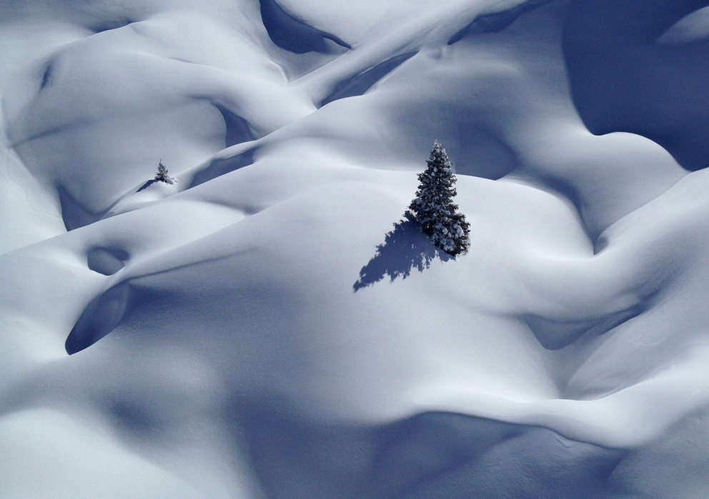 Фотоконкурс Sony World Photography Awards Фотоконкурс Sony World Photography Awards