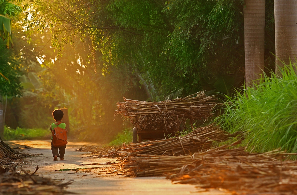 Фотоконкурс Sony World Photography Awards Фотоконкурс Sony World Photography Awards