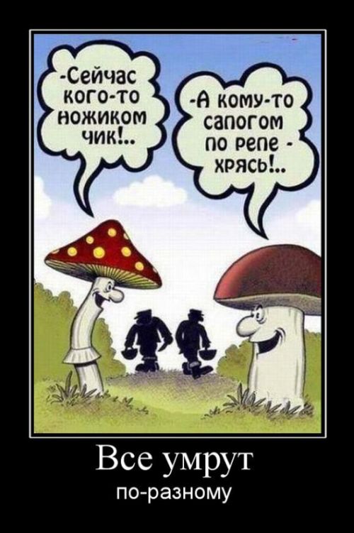 Демотиваторы