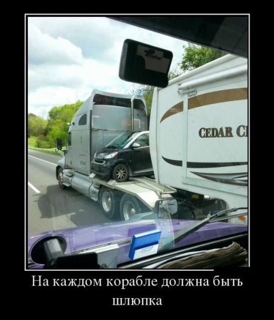 Демотиваторы
