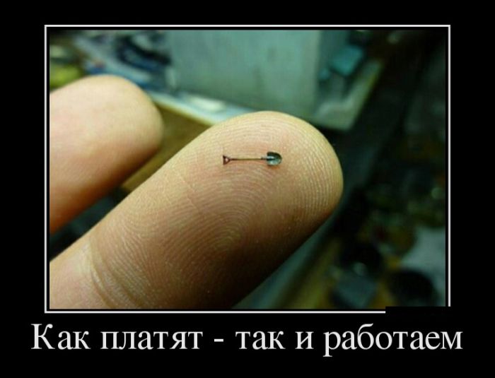 Демотиваторы