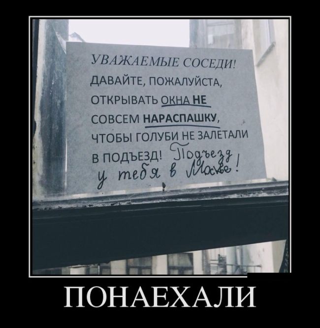 Демотиваторы