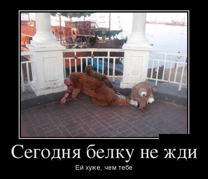 Демотиваторы