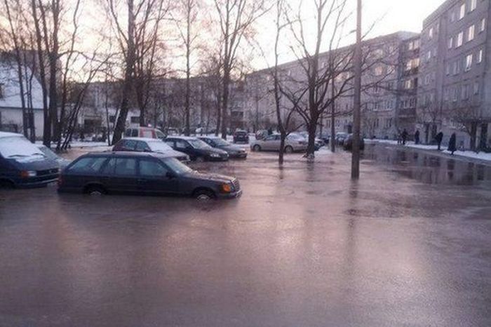 Прикольные картинки