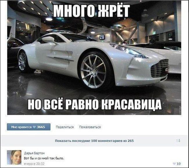 Прикольные картинки